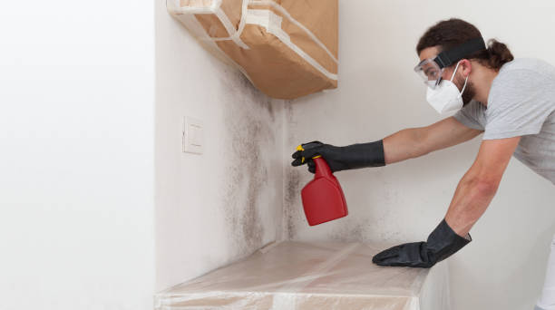 Professional Attic Mold Remediation technician working in Marlton, NJ