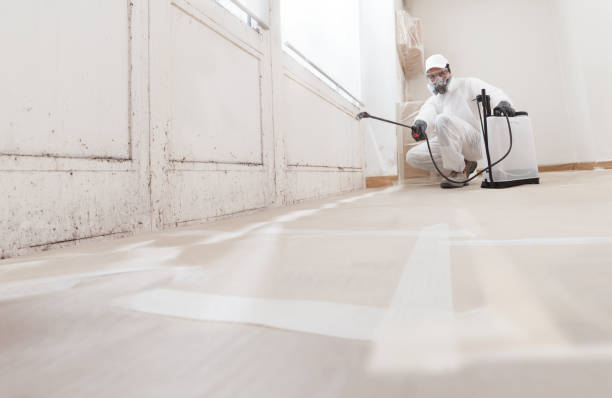 24/7 Emergency Attic Mold Remediation experts in Marlton, NJ