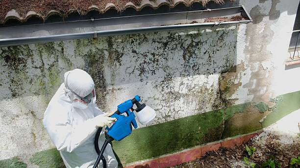 Top rated local Attic Mold Remediation specialists in Marlton, NJ